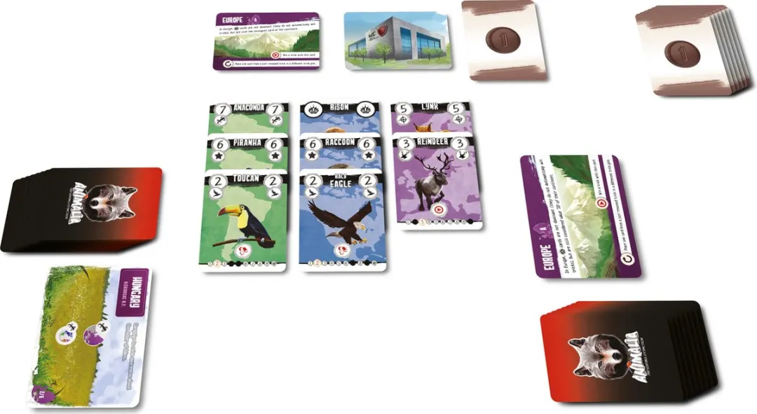 Quined Animalia Preventing Extinction Kaartspel 792800 - 1-3 Spelers