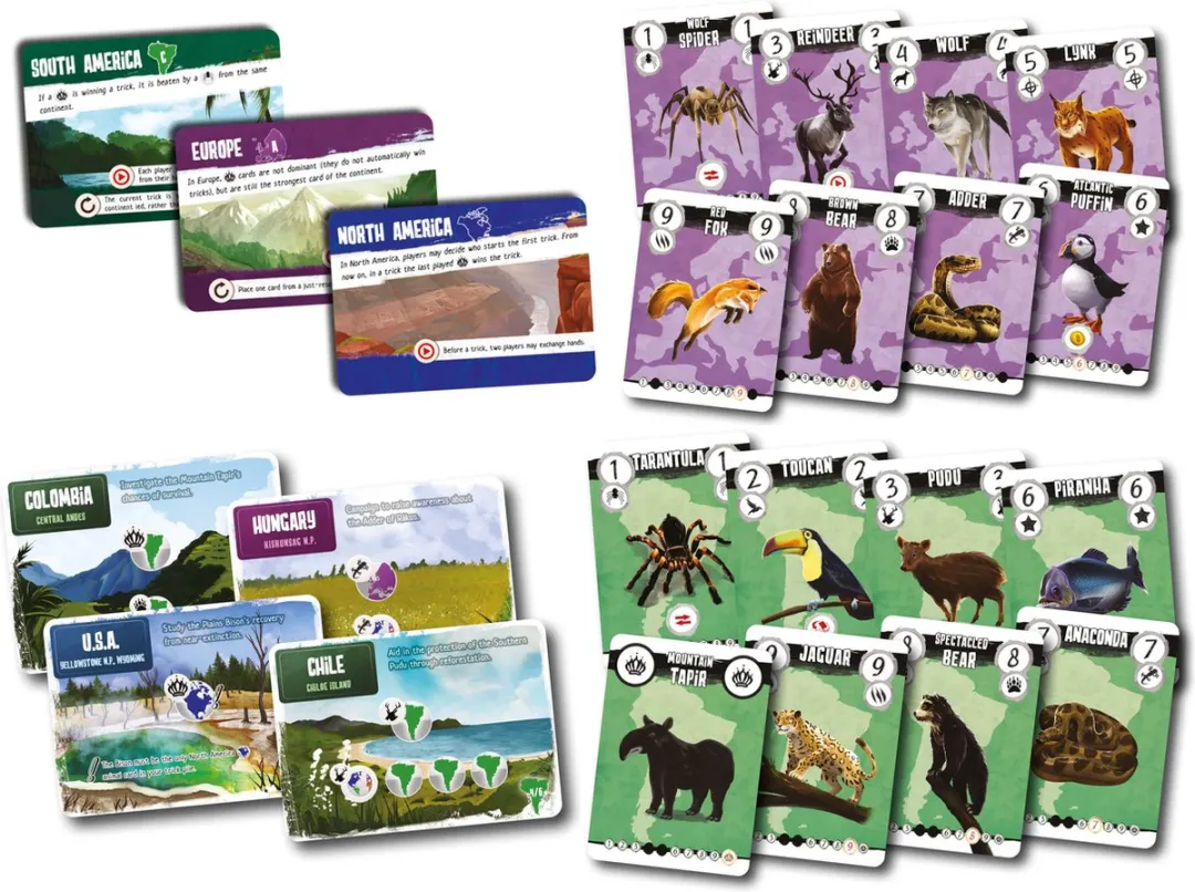 Quined Animalia Preventing Extinction Kaartspel 792800 - 1-3 Spelers