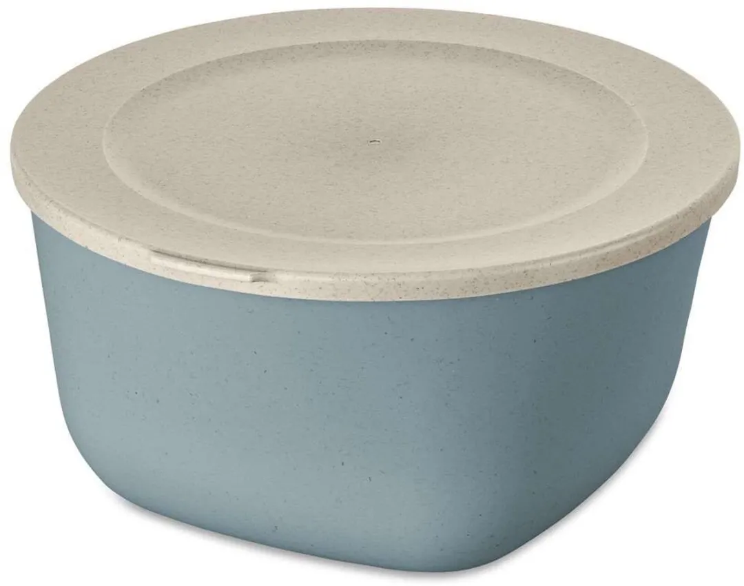 Koziol Connect Box Schaal Multicolor