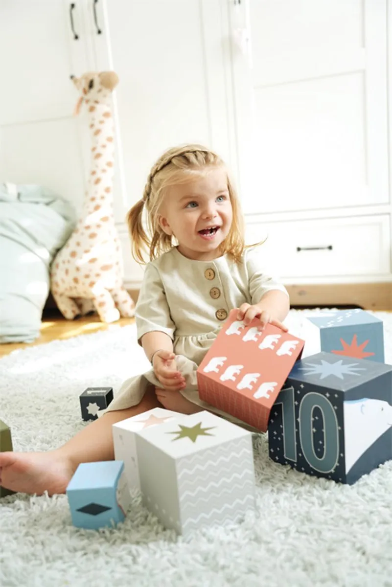 Small Foot Stapelblokken Karton Arctic - 10-delig Multicolor