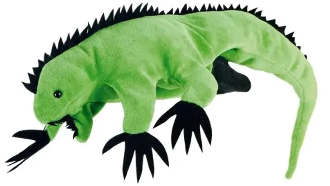 Beleduc Handpop Leguaan 105257 - Multicolor