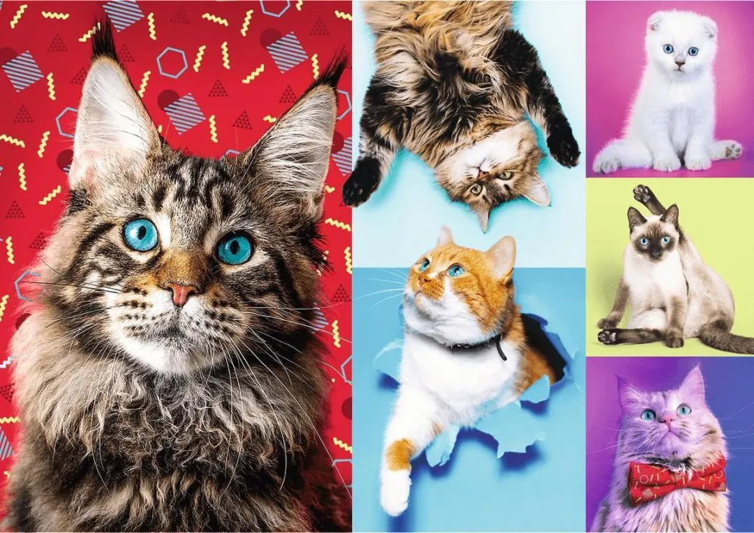 Trefl Gelukkige Katten Puzzel 1000 Stuks - Multi