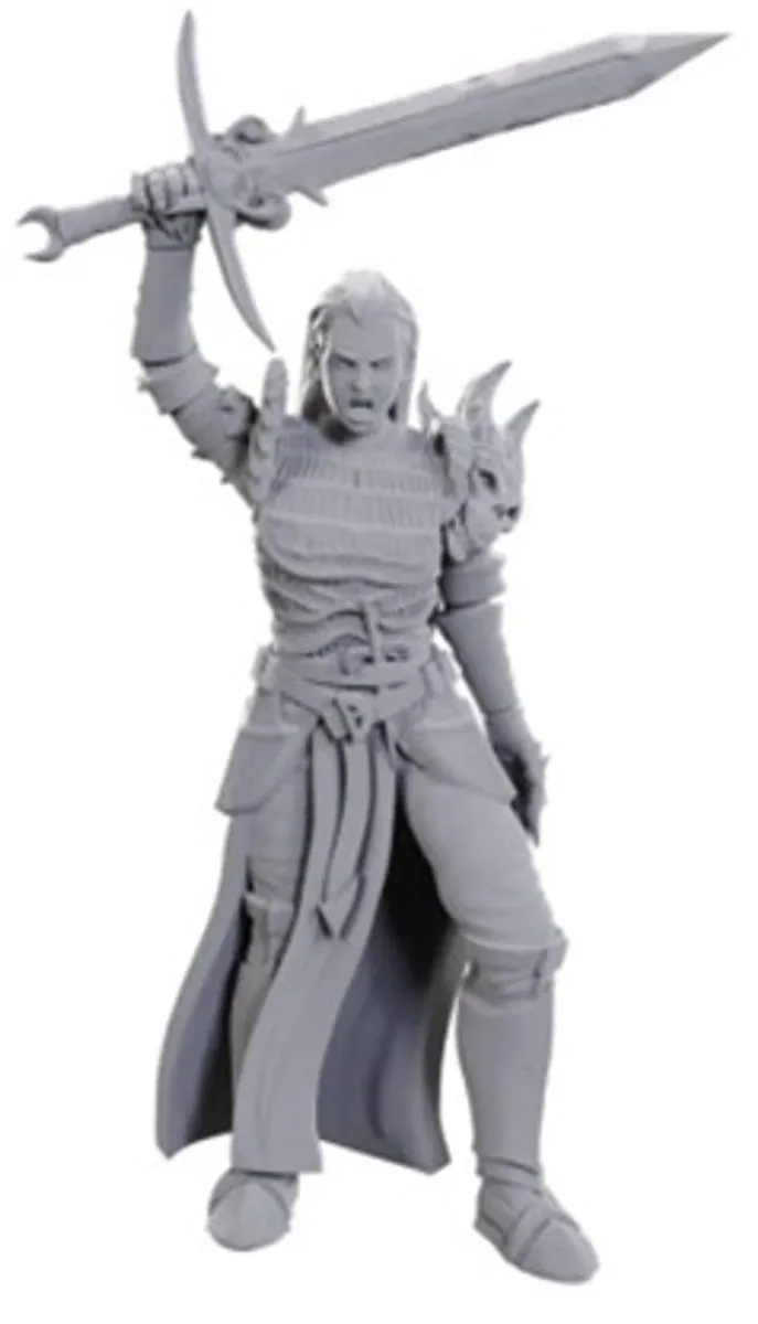 Wizkids D&D Nolzur's Marvelous Miniatures Blackguard