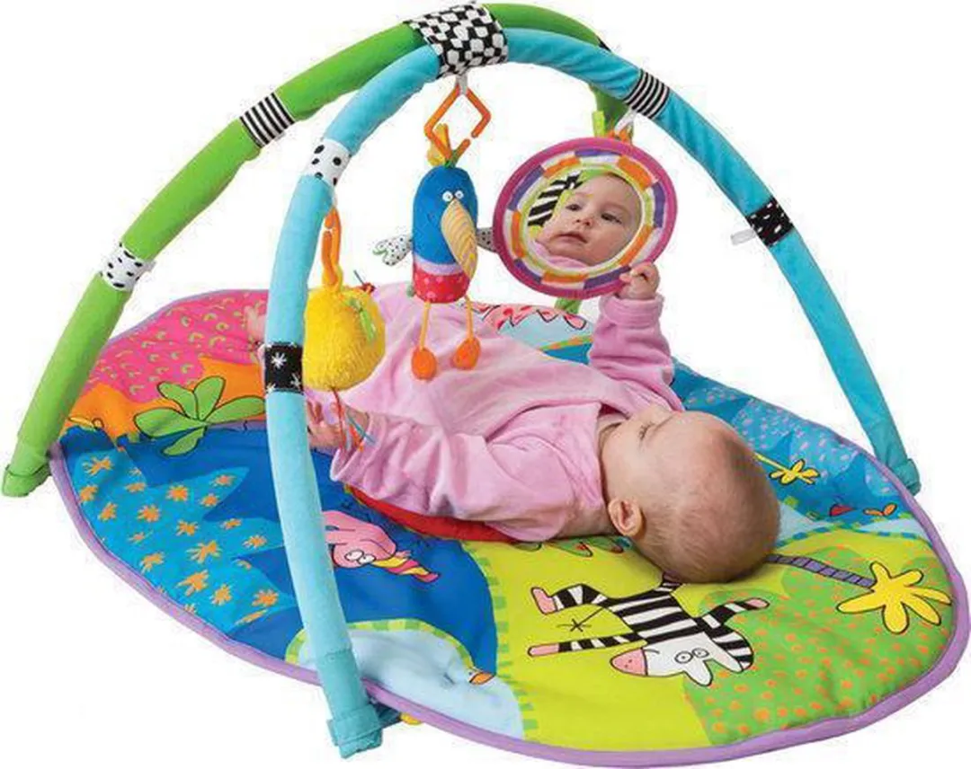 Taf Toys Safari Gym - 3 Speelelementen Multicolor