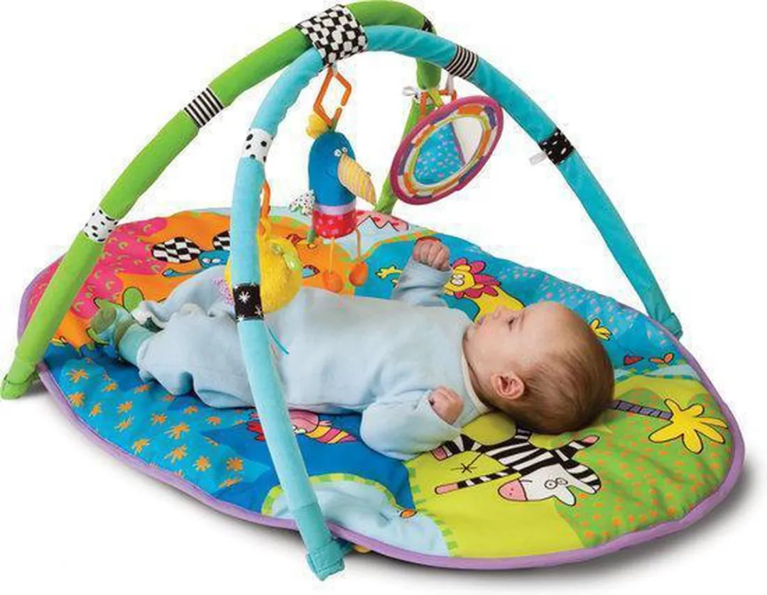 Taf Toys Safari Gym - 3 Speelelementen Multicolor