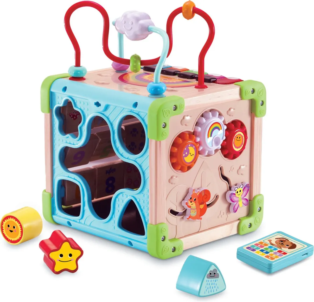 Activiteitencentrum Vtech Baby 80-617105 Bruin Multicolour