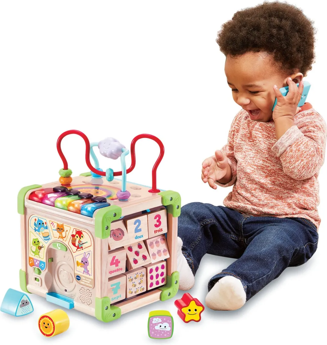 Activiteitencentrum Vtech Baby 80-617105 Bruin Multicolour