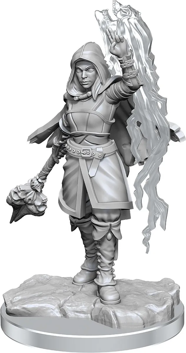 Wizkids D&D Nolzur's Marvelous Miniatures Half-Elf Warlock Vrouwelijk