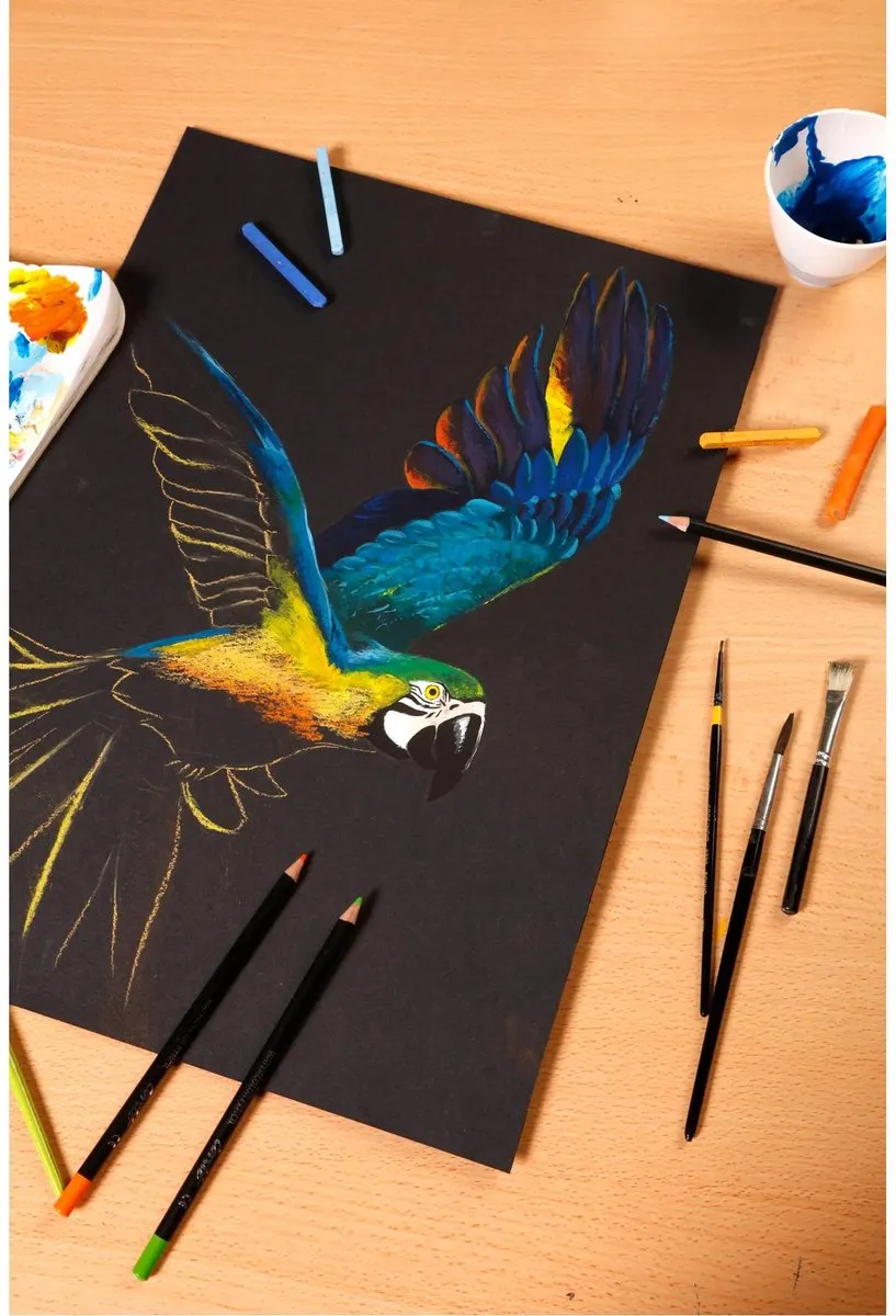 Clairefontaine Paint ON Diepzwart Karton A4 - 80 Vel