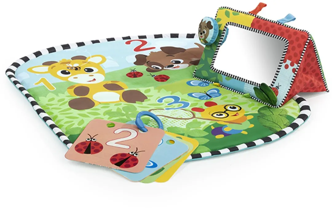 Baby Einstein Speelkleed & Spiegel Multicolor