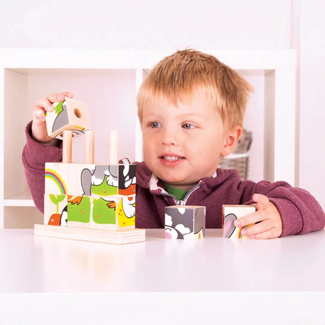 BIGJIGS Stapelblokken Huisdieren BB104 - Multicolor