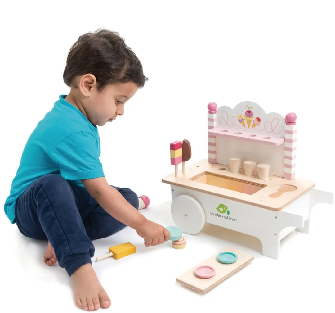 Tender Leaf Toys IJskarretje - Multi
