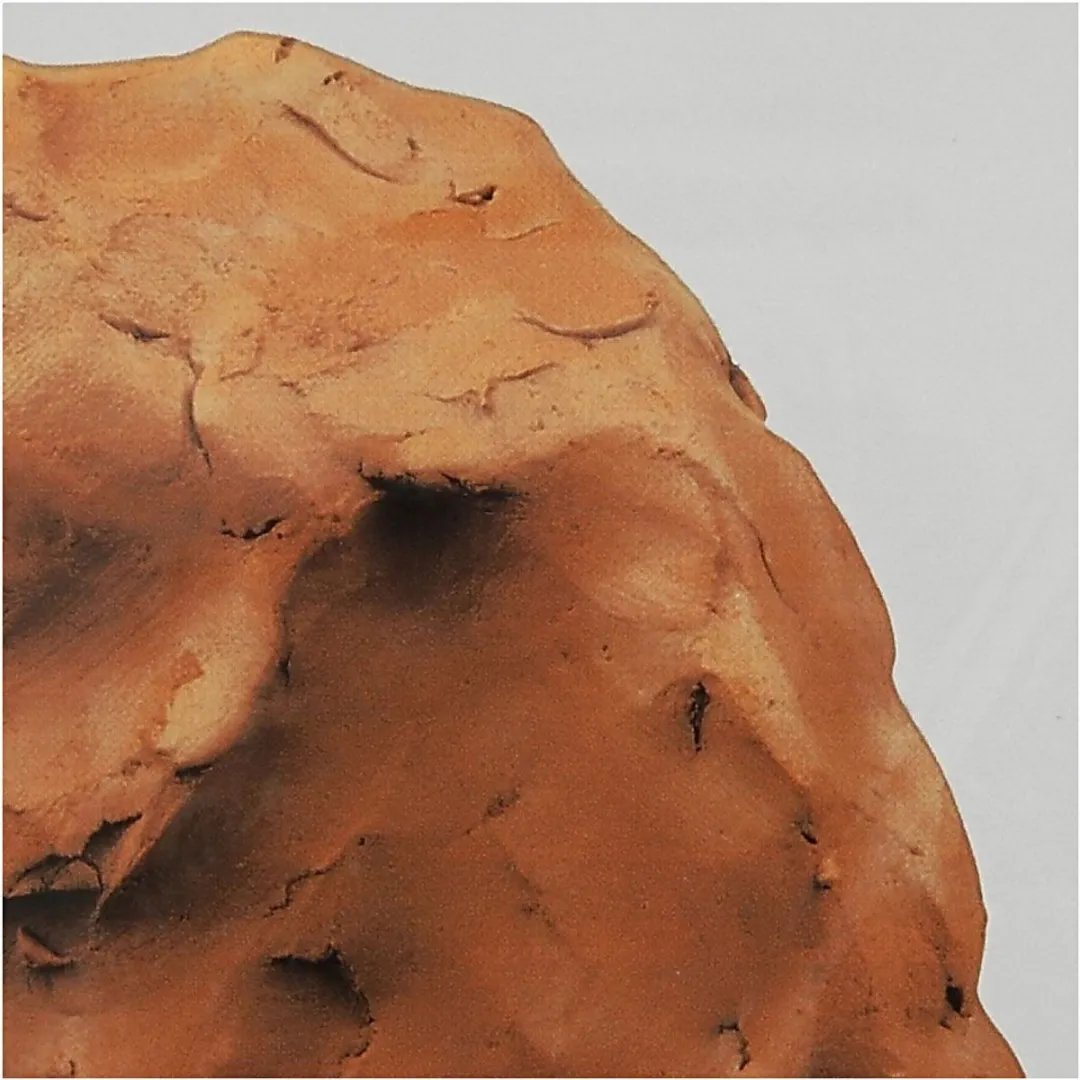 Creativ Company Zelfhardende Klei Terracotta 1000g