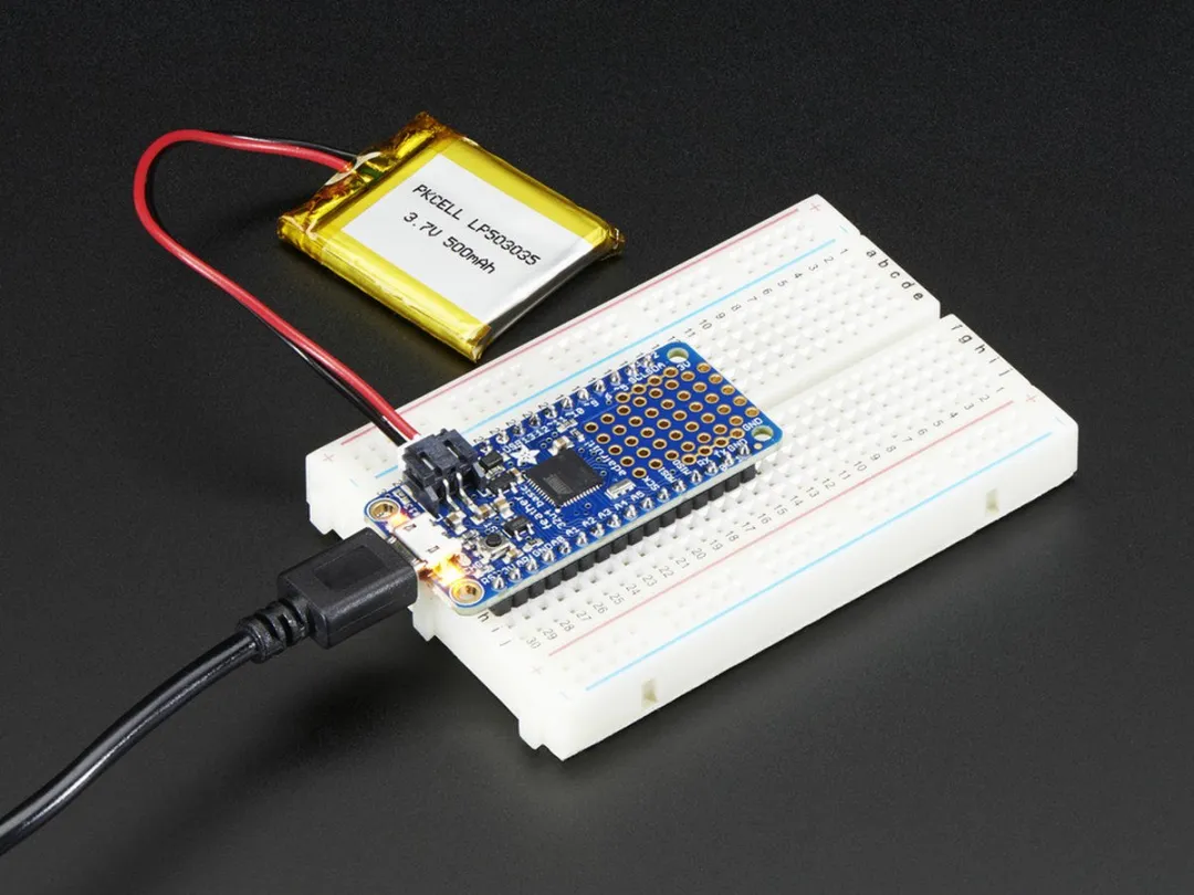 Adafruit Feather 32u4 Basic Proto 2771 - Meerkleurig