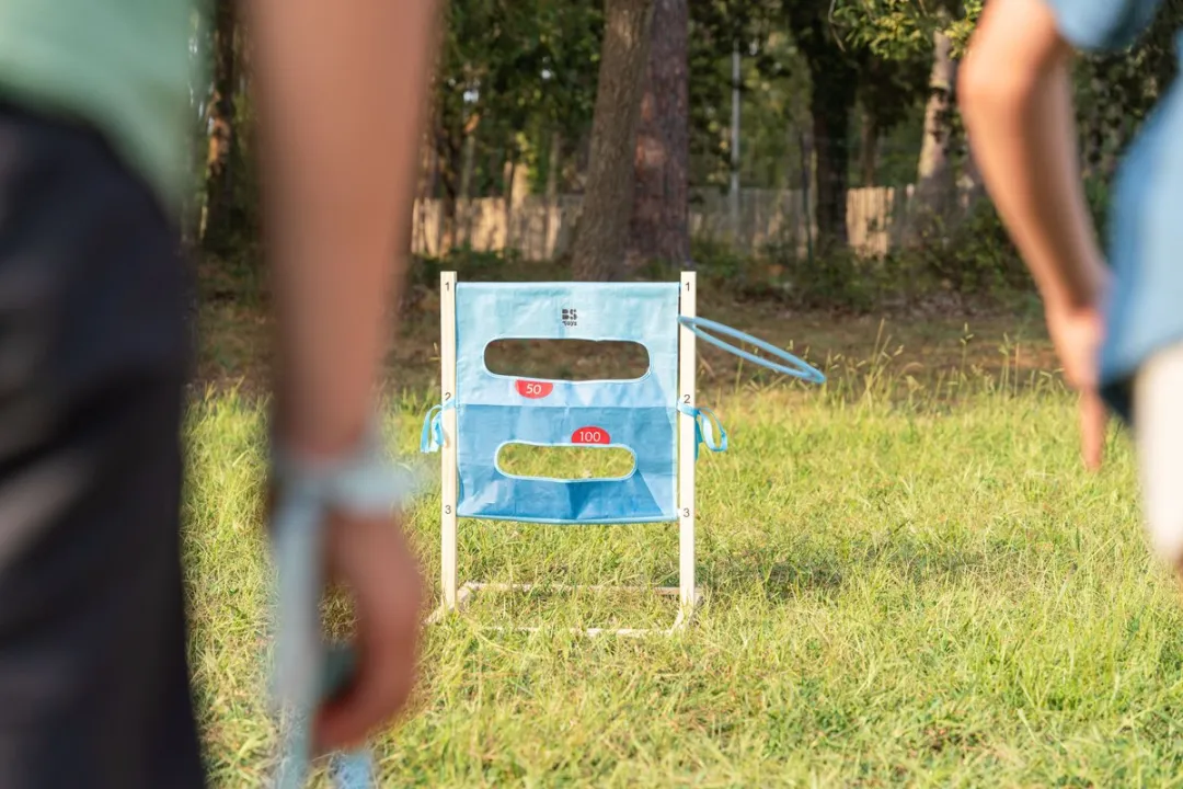 BS Toys Disc Doel & Ladderspel GA540 - 2-4 Spelers