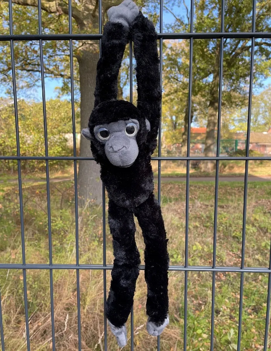 PIA Soft Toys Hang Aap Chimpansee - 55 cm - Zwart