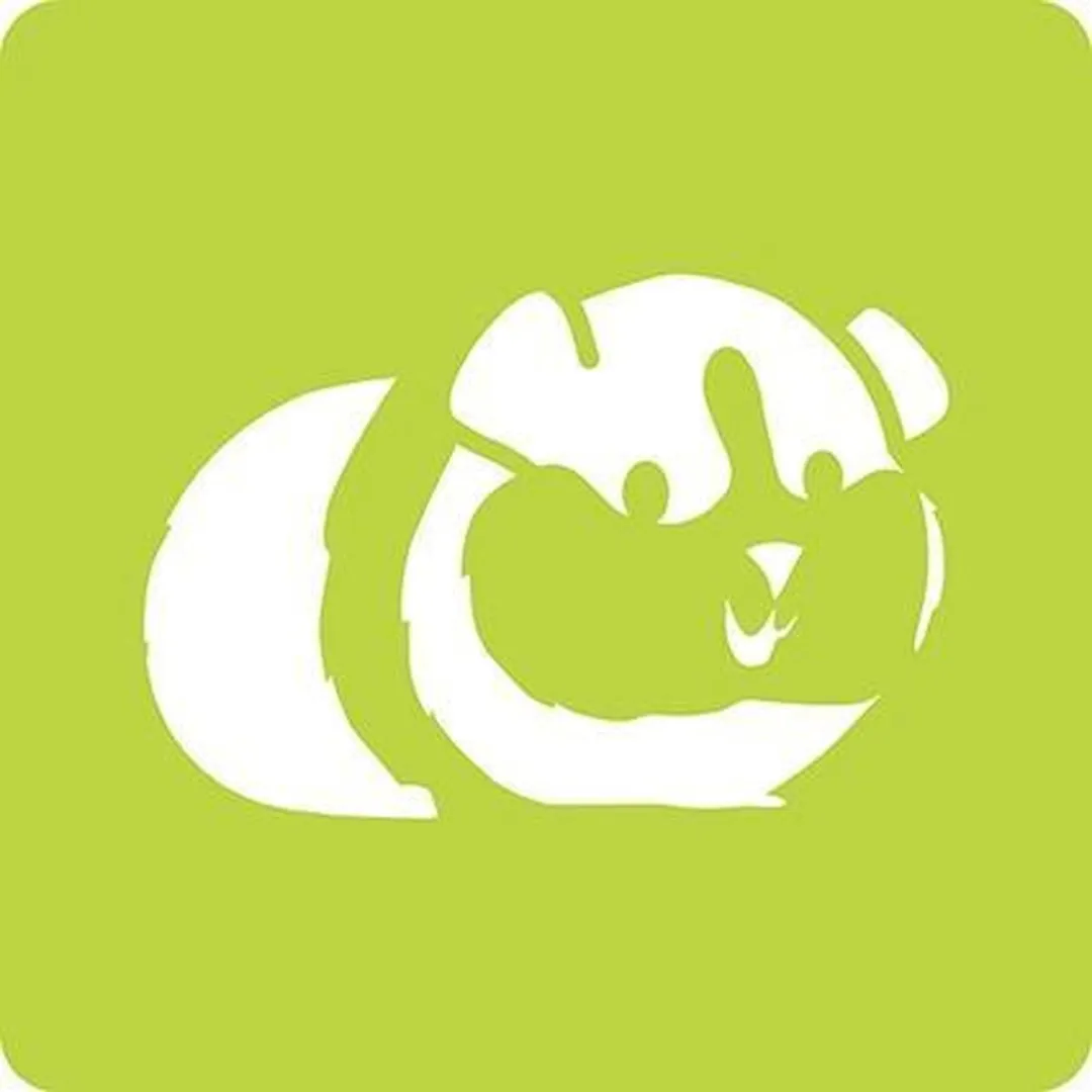Clairefontaine Kunst- & Knutselset 42445MD - Groen