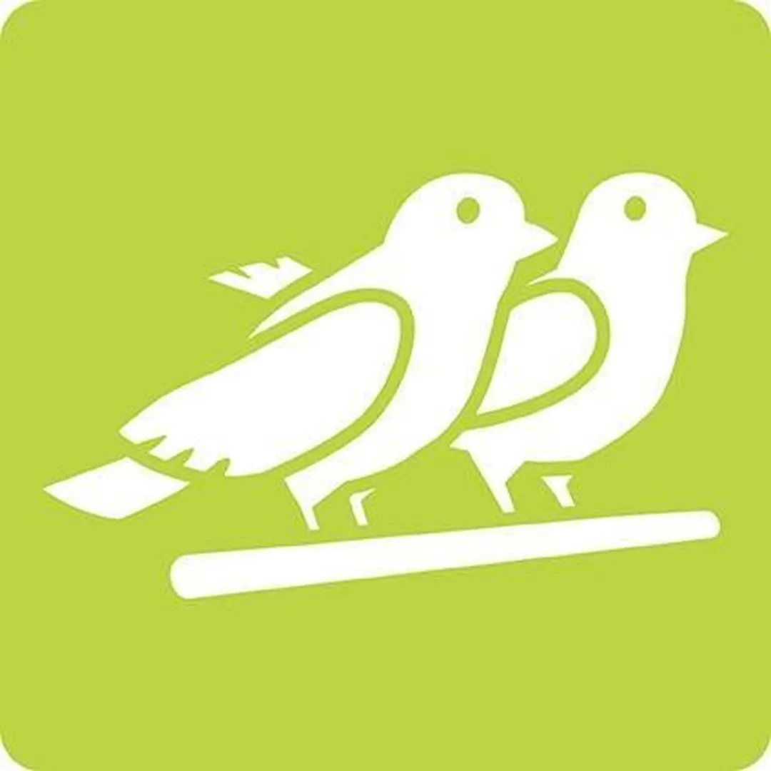 Clairefontaine Kunst- & Knutselset 42445MD - Groen - afbeelding 6 van 6