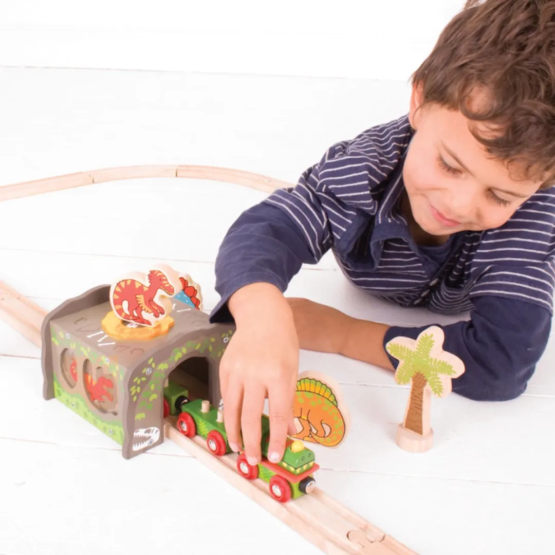 BIGJIGS Houten T-Rex Tunnel - 1 Stuk - Multi