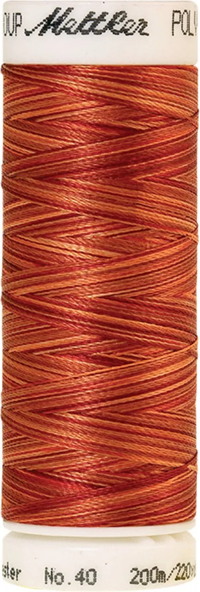 Amann Mettler Poly Multi Borduurgaren 9934