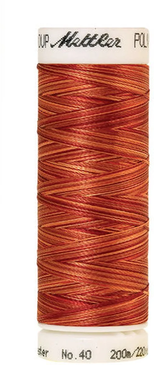 Amann Mettler Poly Multi Borduurgaren 9934 - 200m - Multicolor