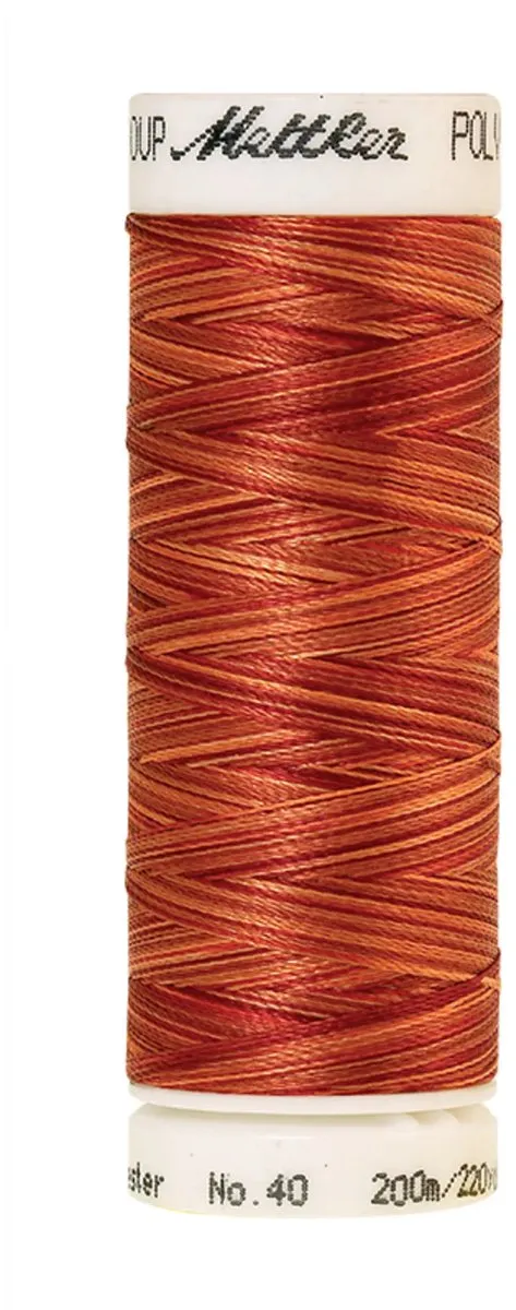 Amann Mettler Poly Multi Borduurgaren 9934 - 200m - Multicolor