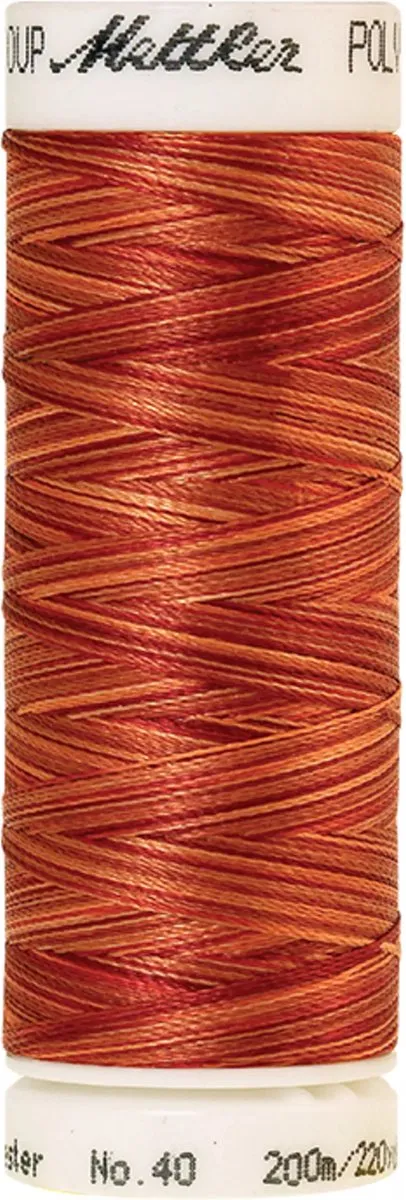 Amann Mettler Poly Multi Borduurgaren 9934 - 200m - Multicolor