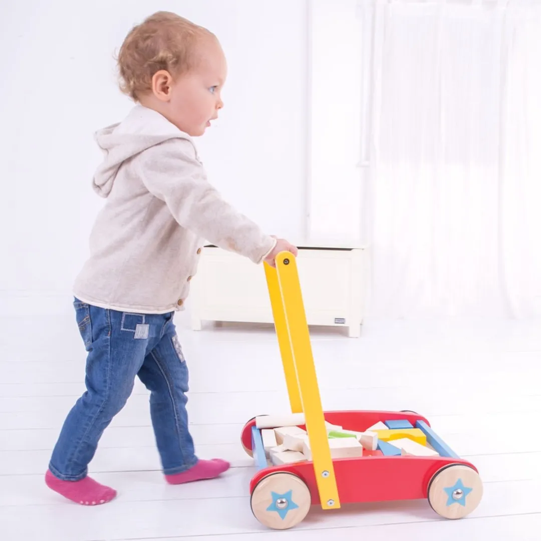 BIGJIGS Loopwagen Multicolor - 37 Stuks