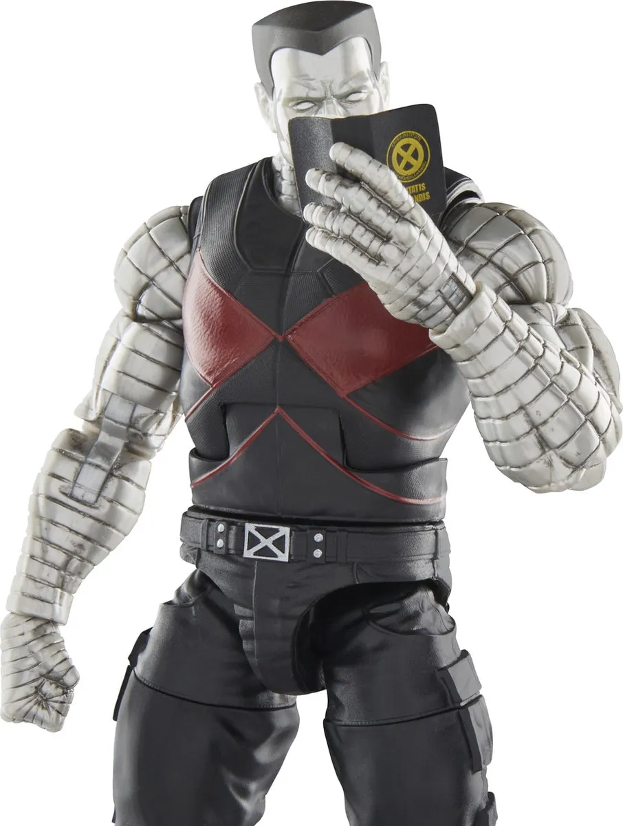 Hasbro Marvel Legends Colossus Action Figure - 22cm - Multi