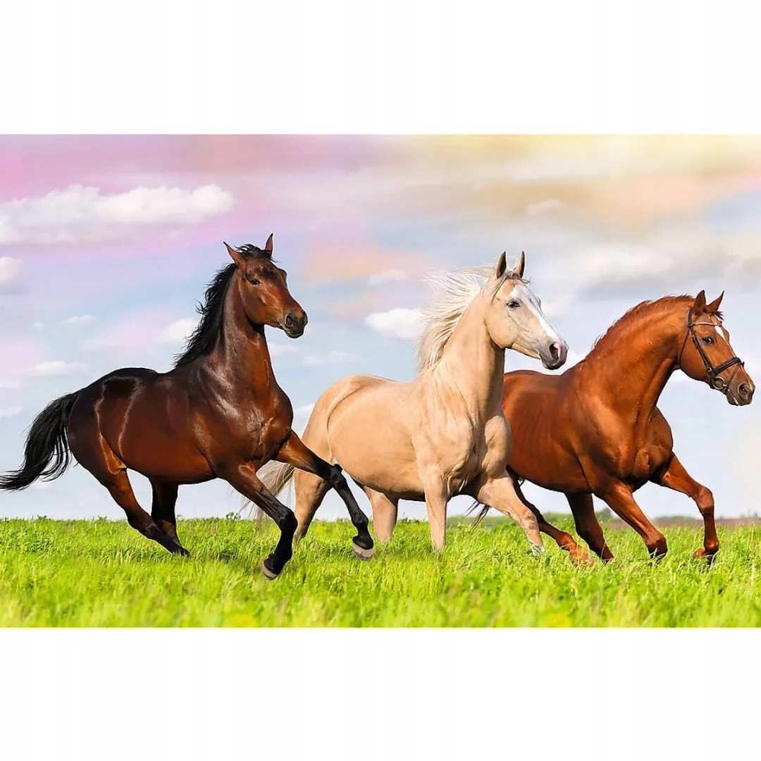 Trefl Mini Puzzel Paarden Wereld 54 Stuks