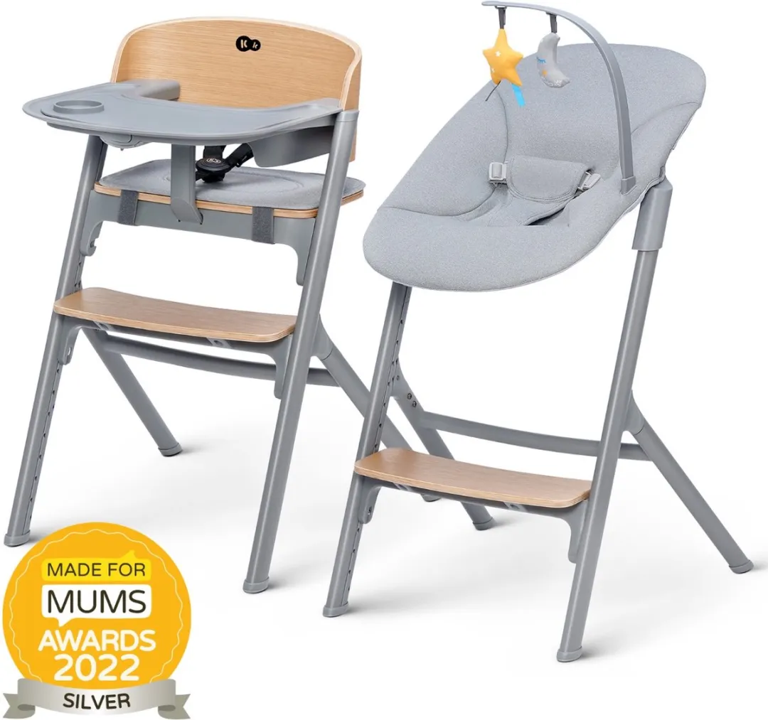 KinderKraft LIVY 4-in-1 Kinderstoel
