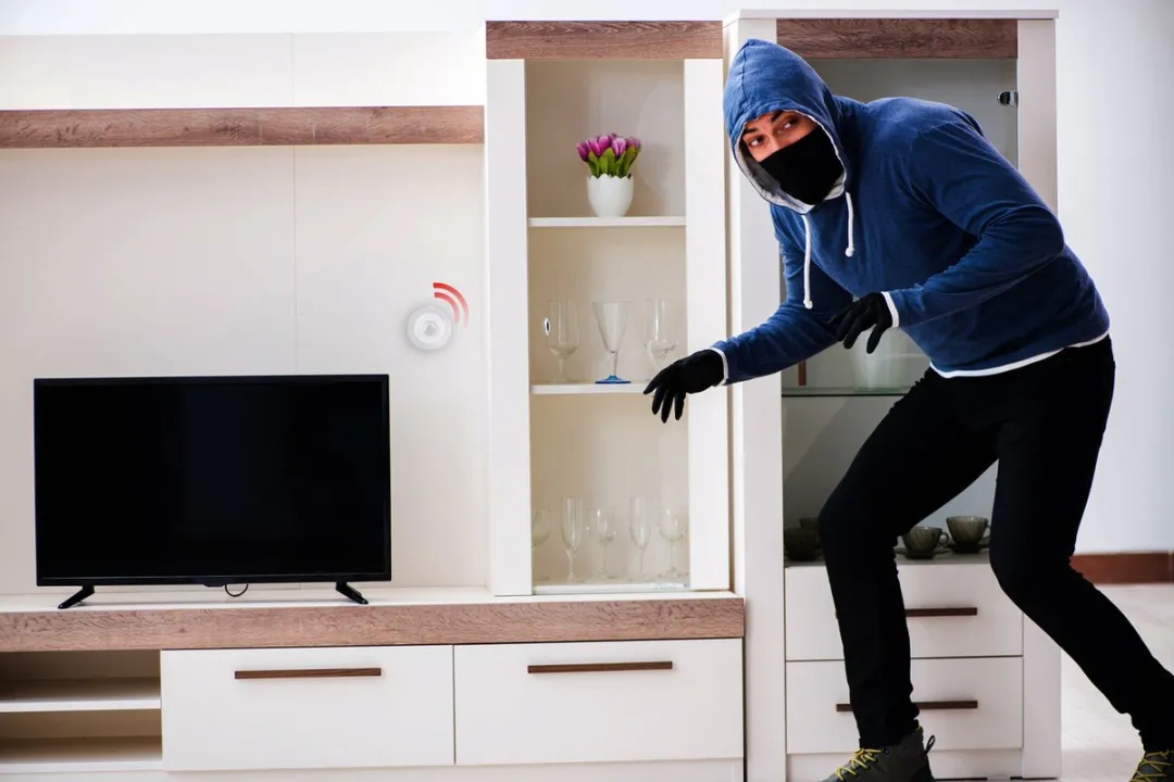 Alpina Smart Home Bewegingssensor 5M - Wit