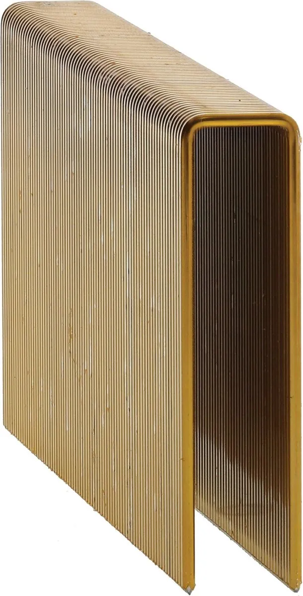 Paslode 574957 Nieten S16-serie 50mm C-punt Verzinkt - 5.250 Stuks