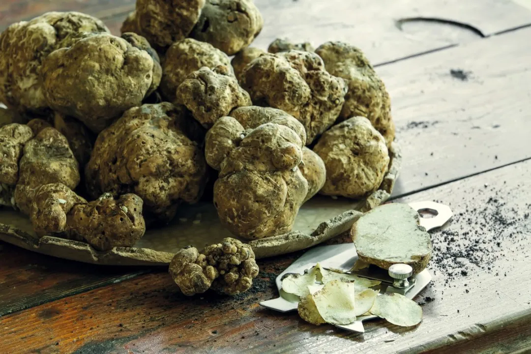 Paderno Truffelsnijder RVS