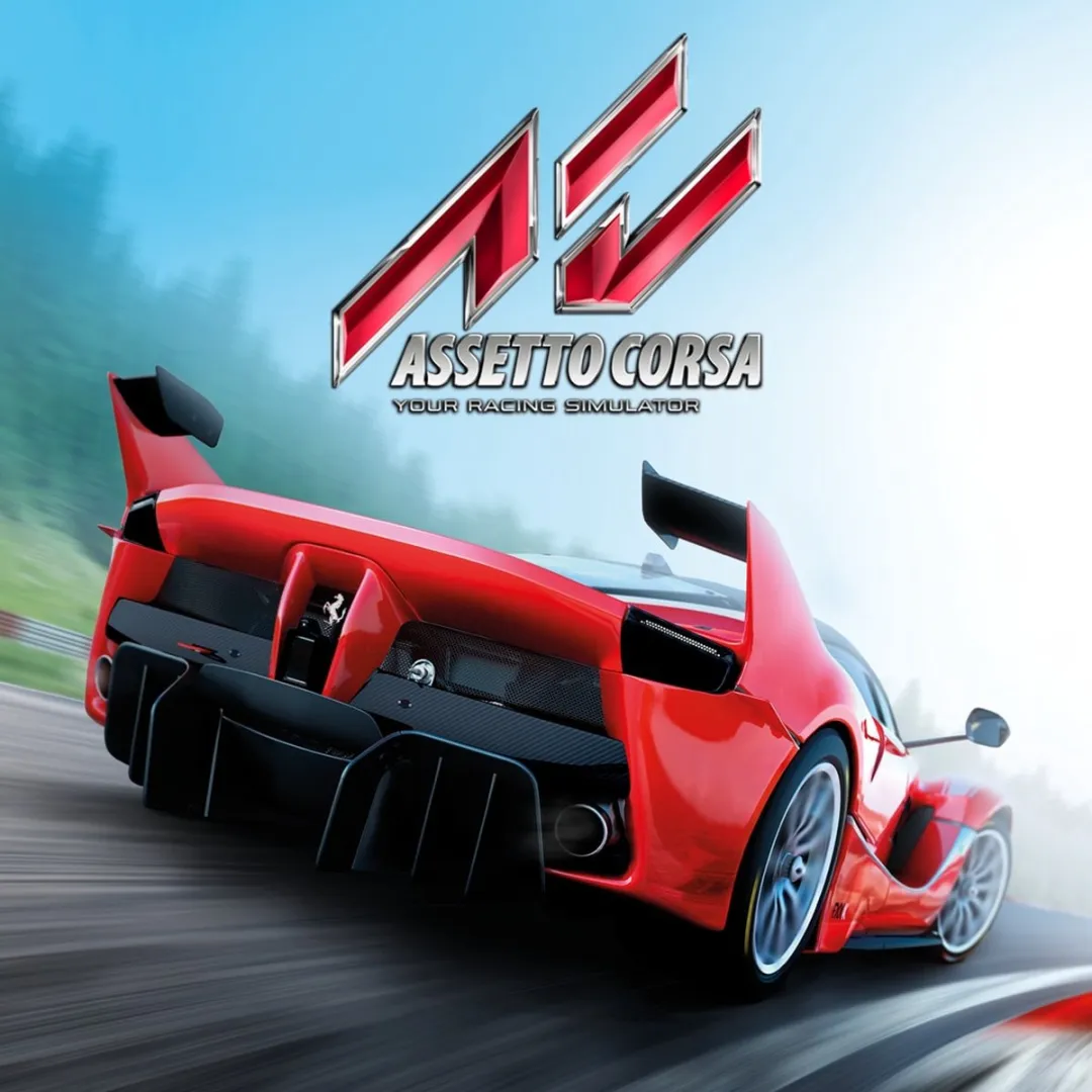 Assetto Corsa Ultimate Edition - Import