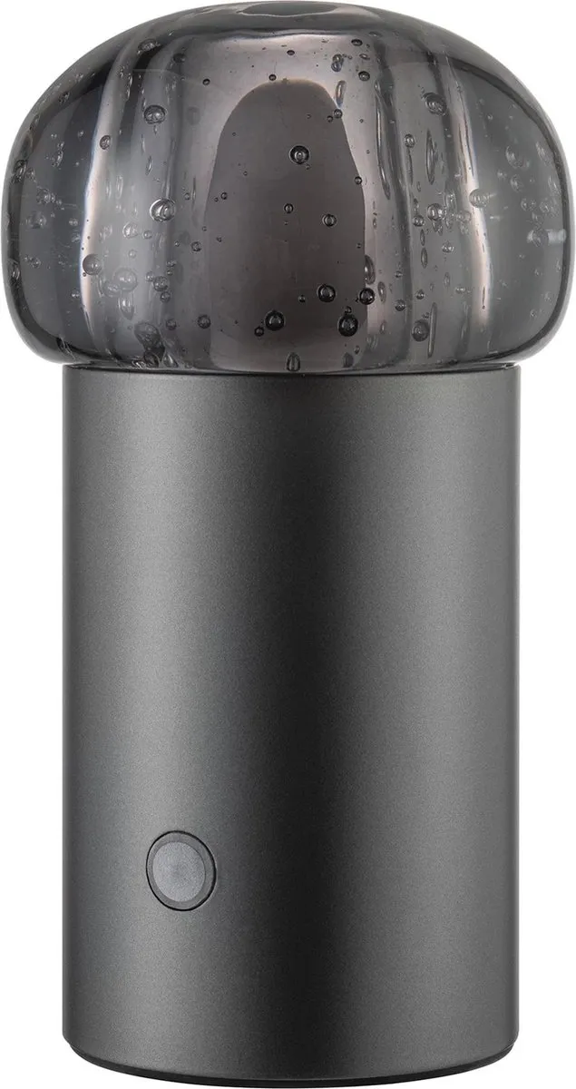 Blomus - IRIS - Mobiele Led Lamp - Metalic