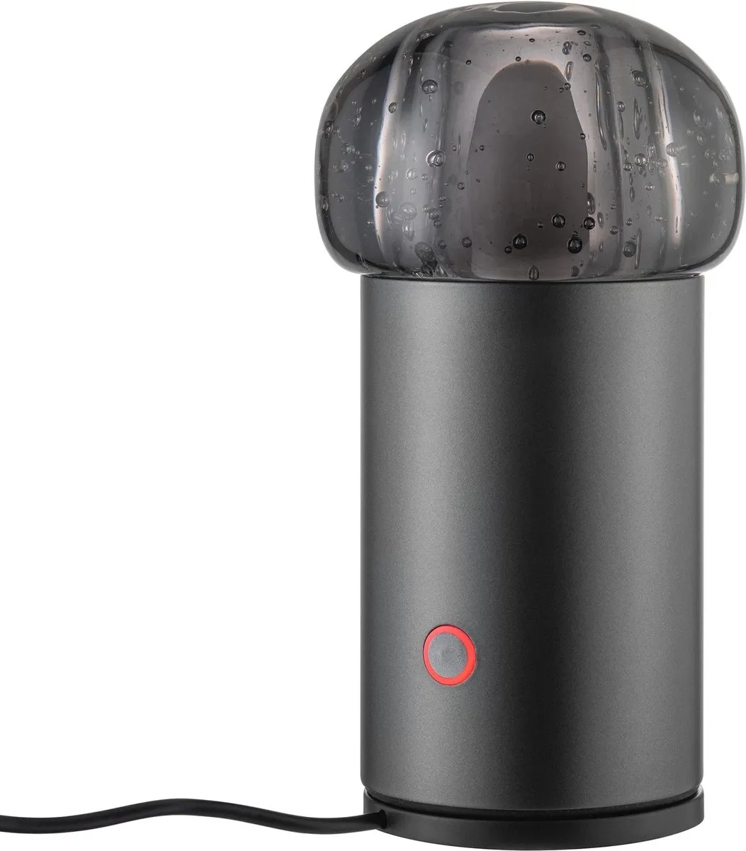 Blomus - IRIS - Mobiele Led Lamp - Metalic