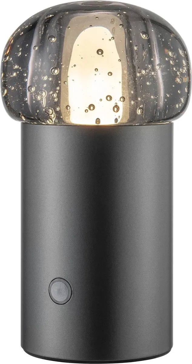 Blomus IRIS Mobiele LED Lamp - 11 Lichtpunten Ø10cm - Metalic - afbeelding 6 van 6