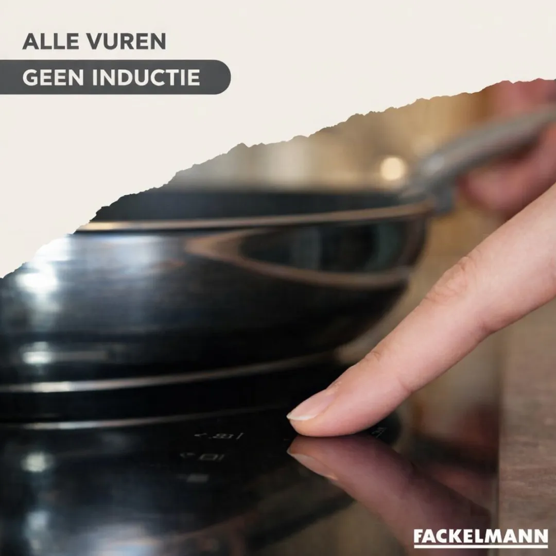 Fackelmann Geneva Set RVS Pannen 20/24cm - 2 Stuks met Deksel & Keukengerei