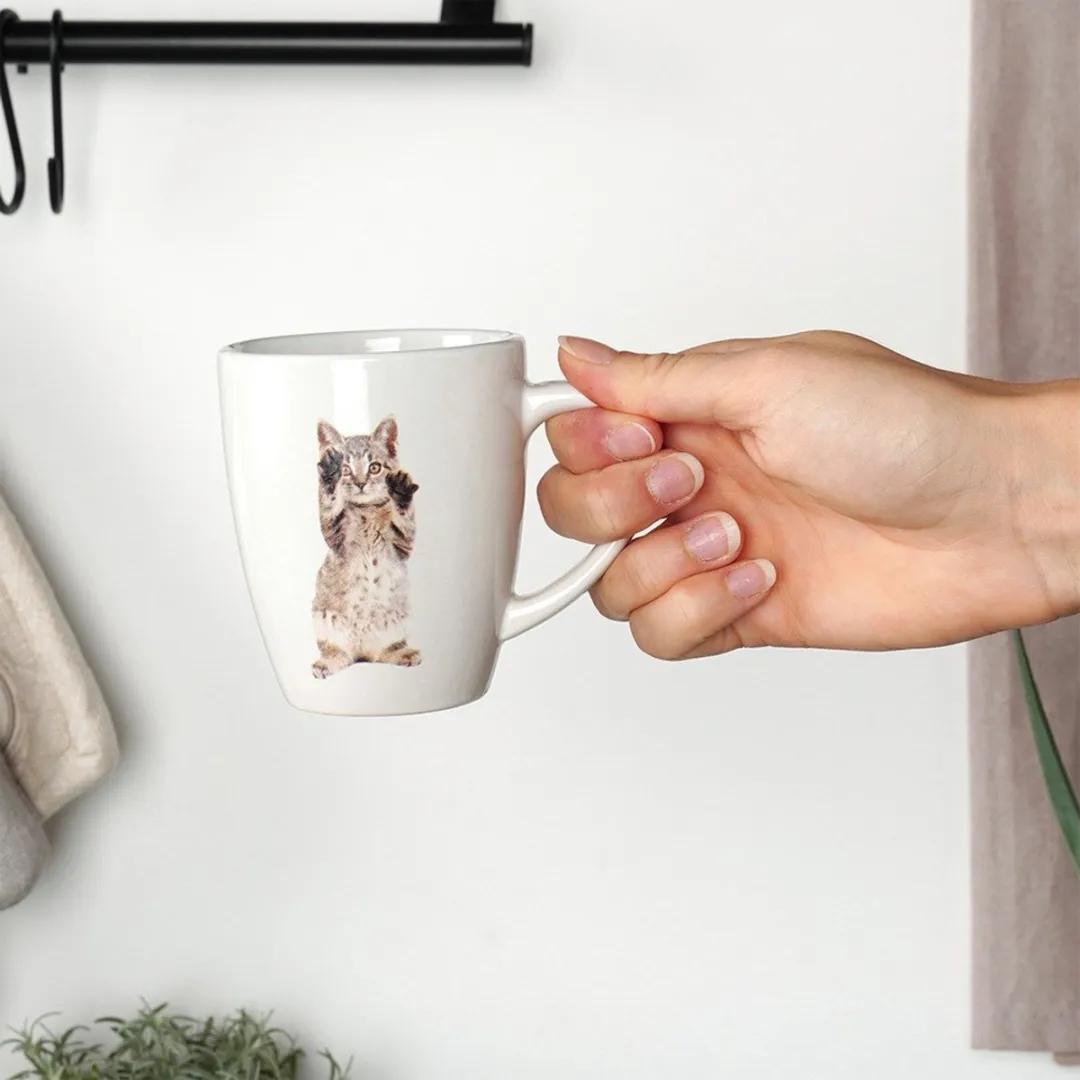 Excellent Houseware Bekerset Katten 3-delig 220ml - Wit