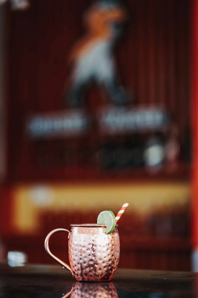 Excellent Houseware Moscow Mule Beker 500ml - Koper