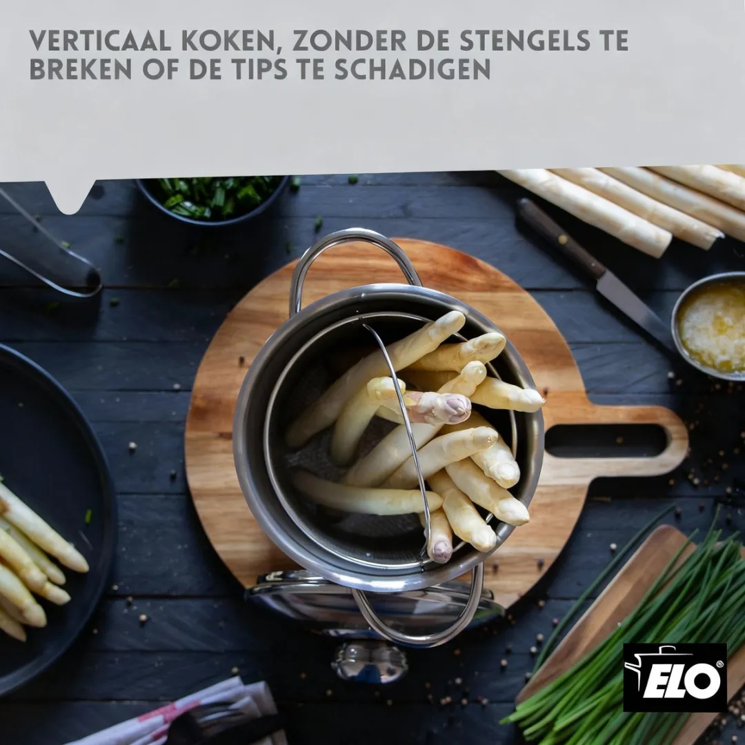 Fackelmann Elo Aspergekoker 16cm - Roestvrij staal - Zilver