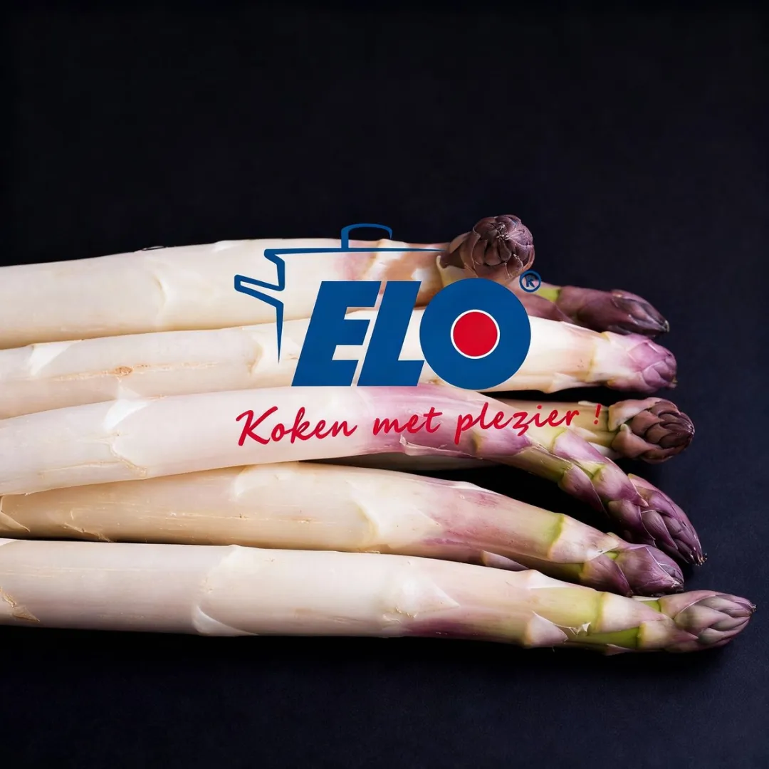 Fackelmann Elo Aspergekoker 16cm - Roestvrij staal - Zilver - afbeelding 6 van 6