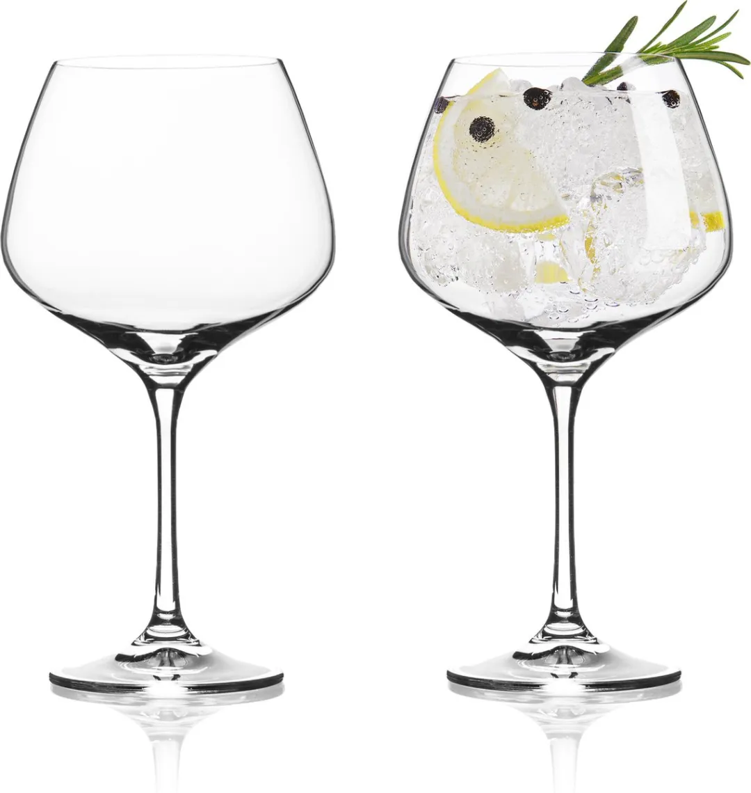 VacuVin Gin Tonic Glazen - 2 stuks - Kristalglas