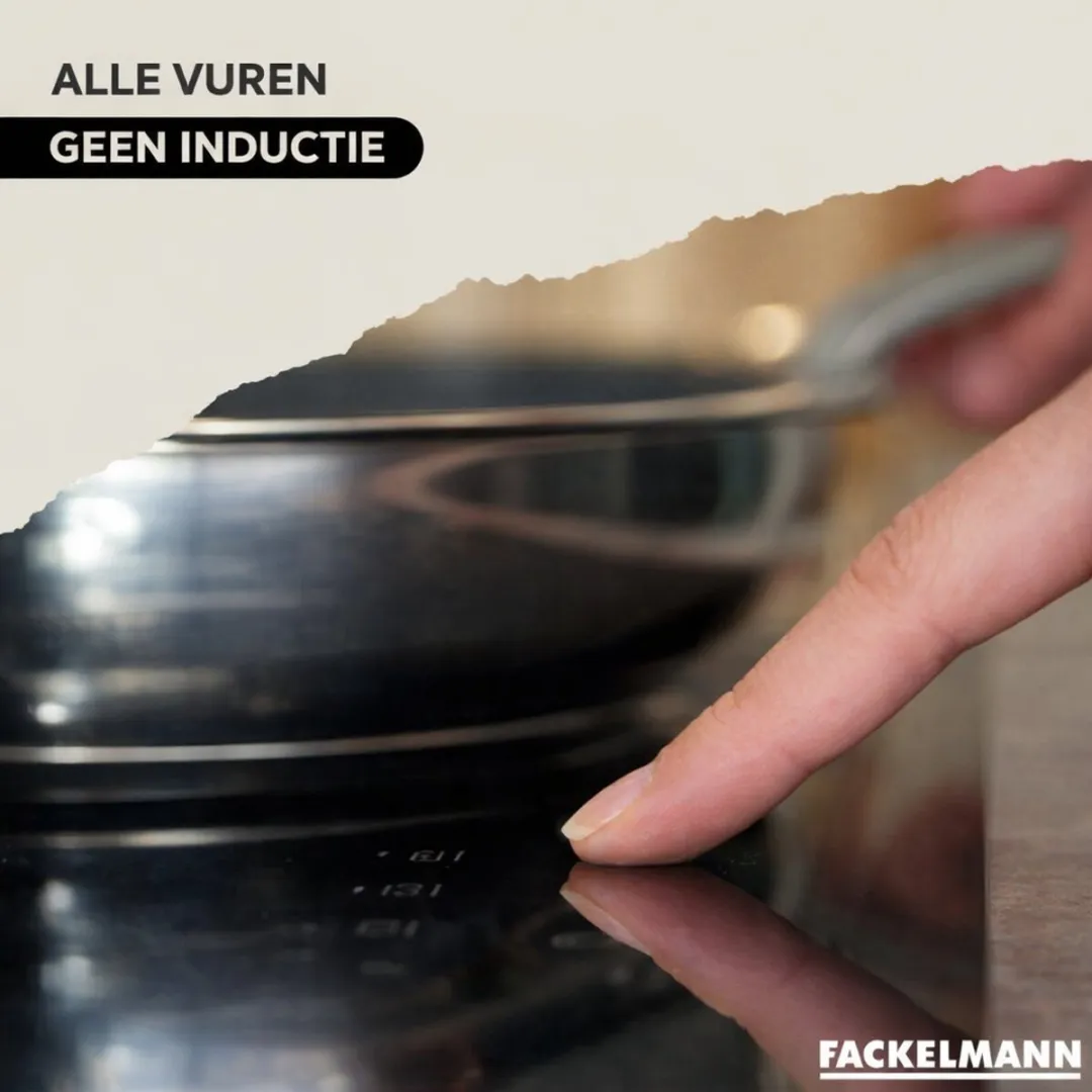 Fackelmann Koekenpan 24cm Roestvrijstaal - Inductie - PFAS-vrij