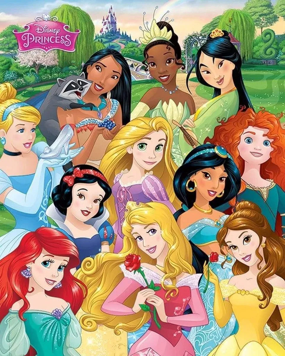 Disney Princess Poster 40x50cm