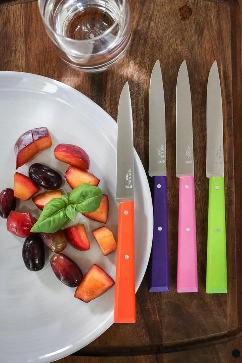 Opinel N°125 Bon Appétit Tafelmessenset 4-delig - Multicolor