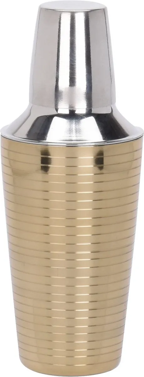 Alpina Margarita Set 5-delig - 250ml Cocktailglazen & Shaker RVS