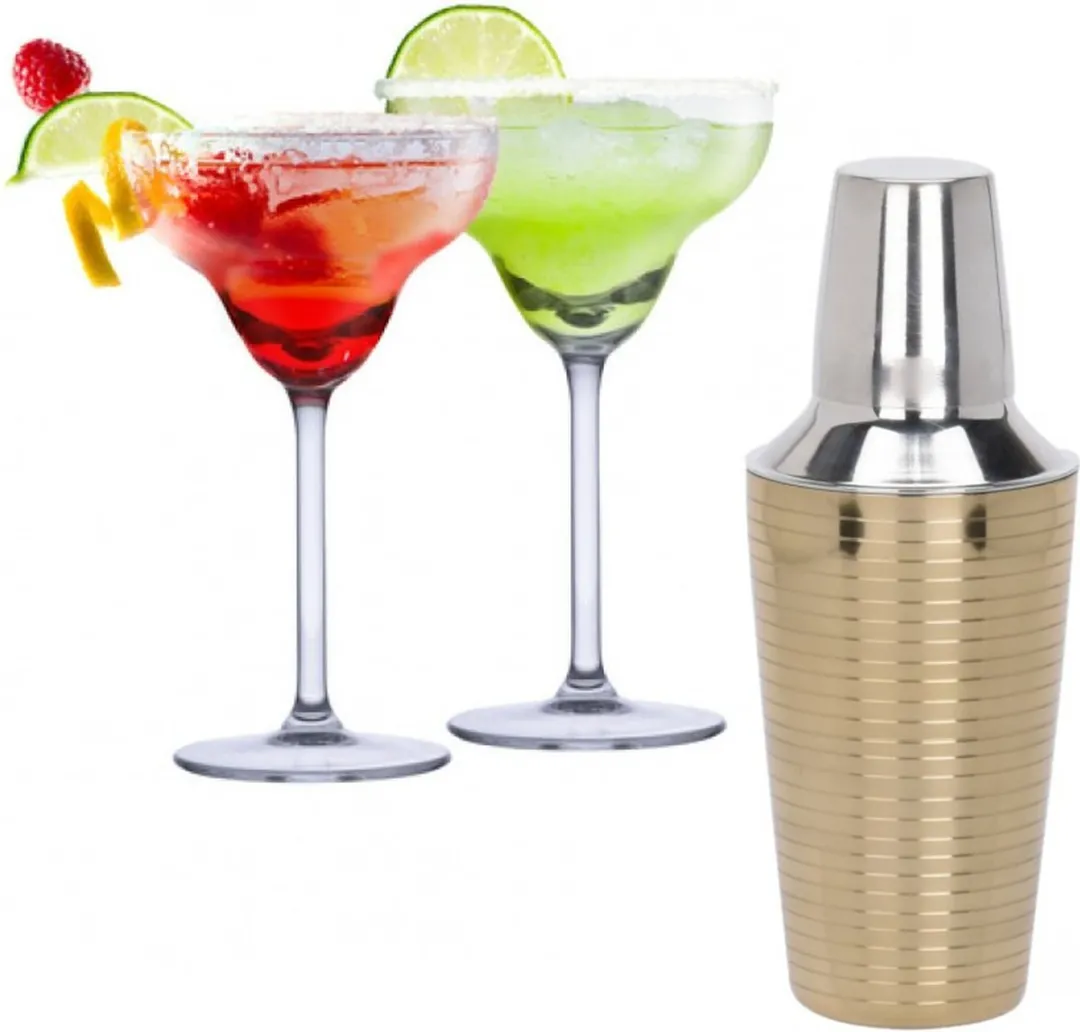 Alpina Margarita Set 5-delig - 250ml Cocktailglazen & Shaker RVS