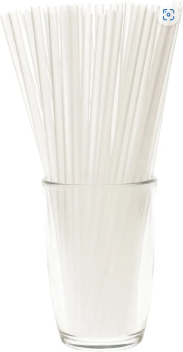Excellent Houseware Herbruikbare Rietjes 150 Stuks